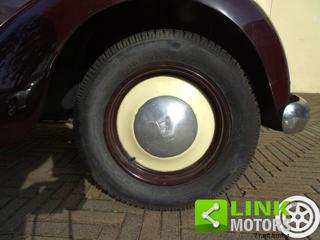 FIAT 1100 usata 20