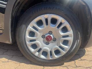 FIAT Panda usata 16