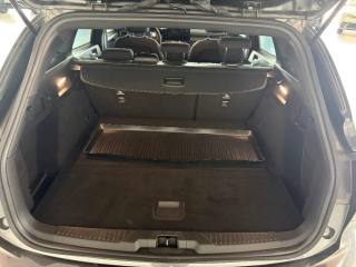 FORD Focus usata, con Bracciolo