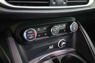 ALFA ROMEO Stelvio usata 11