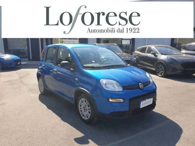 FIAT Panda usata, con Airbag Passeggero
