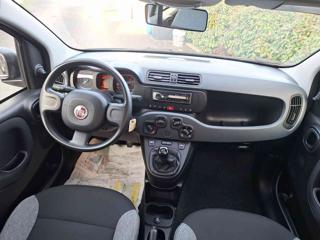 FIAT Panda usata 16