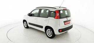 FIAT Panda usata 50