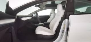 TESLA Model 3 usata, con Controllo trazione