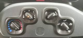 FIAT Panda usata 51