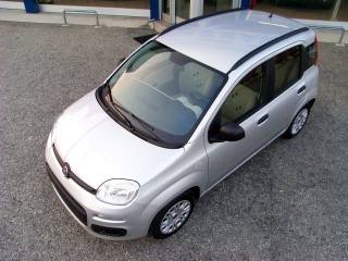 FIAT Panda usata 36