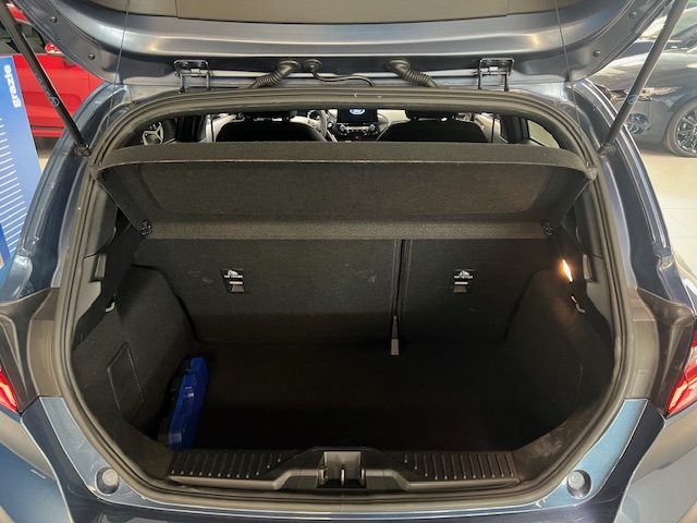 FORD Fiesta usata, con Servosterzo