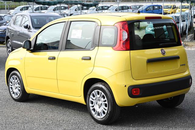 FIAT Panda usata, con Chiusura centralizzata