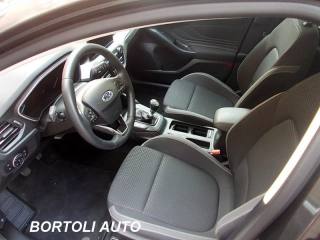 FORD Focus usata, con Autoradio