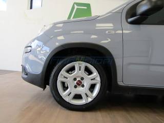 FIAT Panda usata, con Alzacristalli elettrici