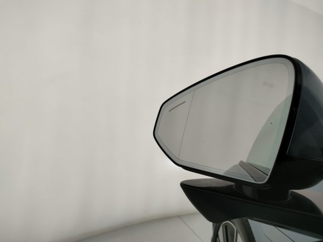 POLESTAR Polestar 4 usata, con Controllo vocale