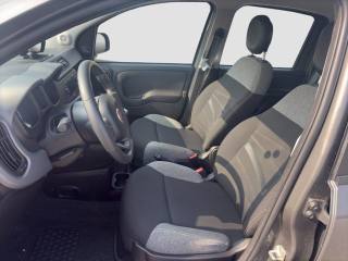 FIAT Panda usata 8