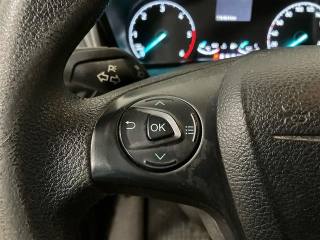 FORD Transit Connect usata 21