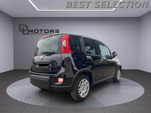 FIAT Panda usata, con Park Distance Control