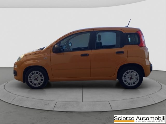 FIAT Panda usata, con Airbag Passeggero