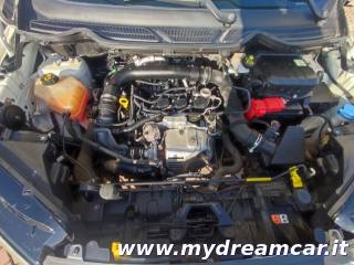FORD EcoSport usata 20