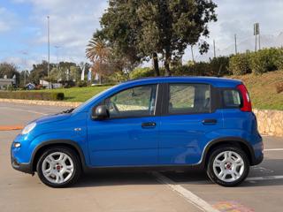 FIAT Panda usata, con Alzacristalli elettrici