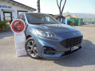 FORD Kuga AUTOCARRO N1 1.5 EcoBlue 120 CV aut. ST-Line X
