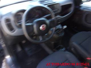 FIAT Panda usata, con Immobilizzatore elettronico