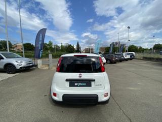 FIAT Panda usata, con Antifurto