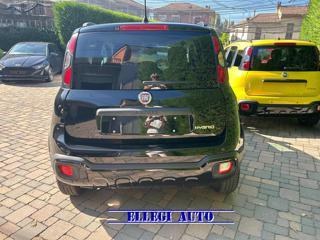FIAT Panda Cross usata, con Alzacristalli elettrici