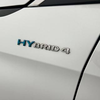 PEUGEOT 3008 usata, con Specchietti laterali elettrici