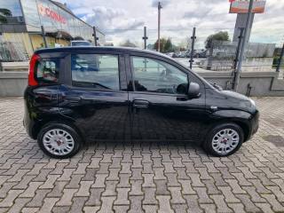 FIAT Panda usata, con Climatizzatore