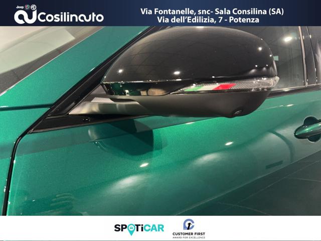 ALFA ROMEO Tonale usata, con Bracciolo