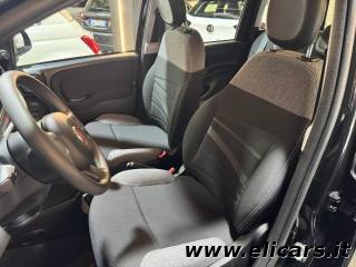 FIAT Panda Cross usata, con Immobilizzatore elettronico