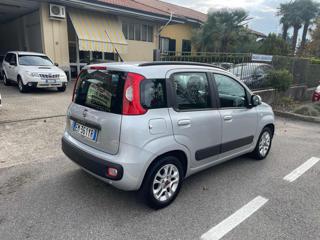 FIAT Panda usata, con Fendinebbia