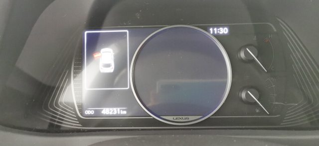 LEXUS UX 250h usata, con Cruise Control