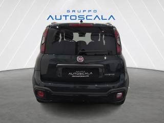 FIAT Pandina usata, con Airbag Passeggero