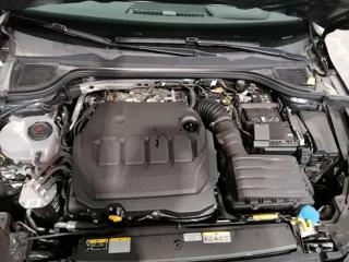 VOLKSWAGEN Golf usata, con Cruise Control