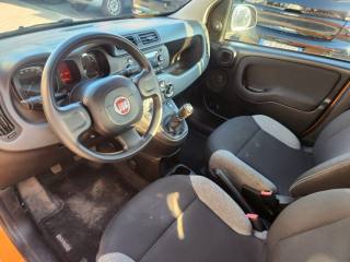 FIAT Panda usata, con ESP