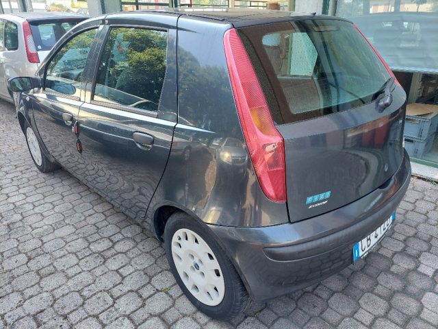 FIAT Punto usata, con Chiusura centralizzata