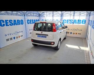 FIAT New Panda usata, con Airbag Passeggero