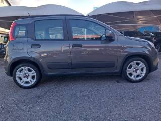 FIAT Panda usata, con Chiusura centralizzata