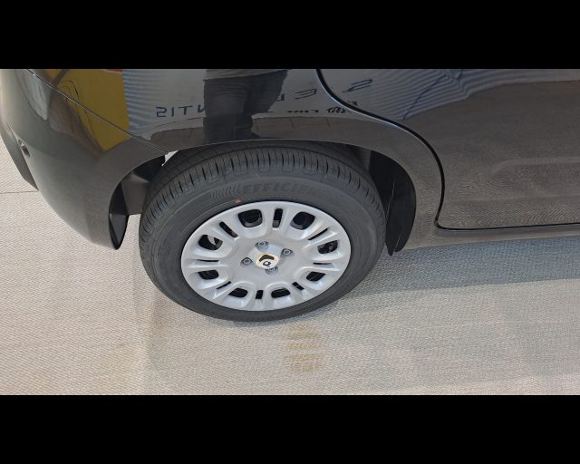 FIAT New Panda usata 19