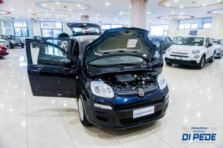 FIAT Panda usata, con Climatizzatore
