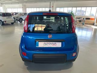 FIAT Panda usata, con Antifurto