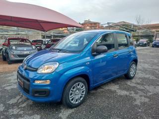 FIAT Panda usata, con Airbag Passeggero