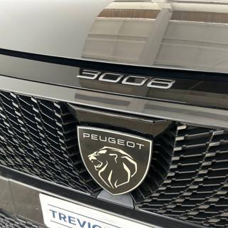 PEUGEOT 3008 usata, con Vivavoce