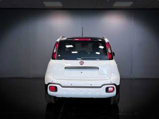 FIAT Panda usata, con Controllo trazione