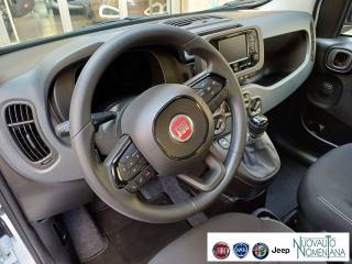FIAT Panda usata, con Cruise Control