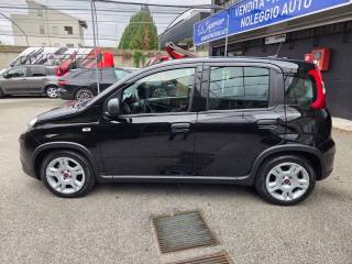 FIAT Panda usata, con Antifurto