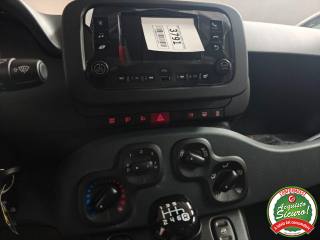 FIAT Pandina usata, con Filtro antiparticolato