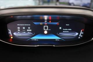 PEUGEOT 3008 usata 63