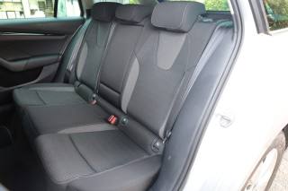 SKODA Octavia usata 100