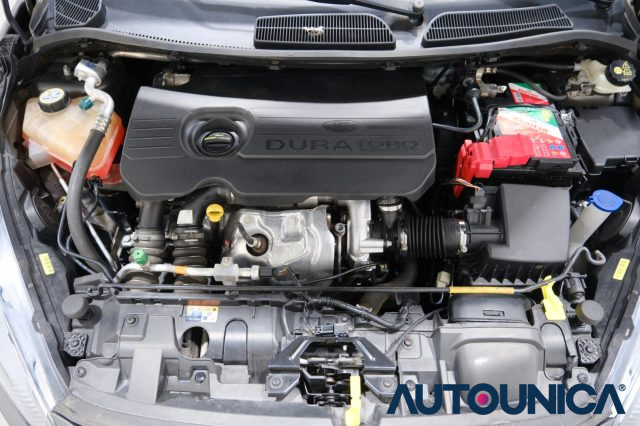 FORD Fiesta usata 46