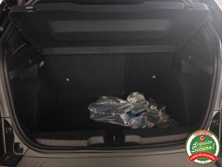 FIAT Grande Panda usata, con Volante in pelle